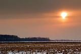 Winter Sun_13546